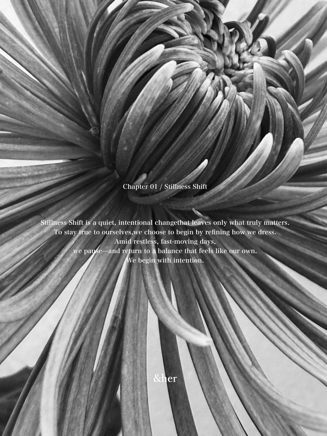 Chapter 01 / Stillness Shift