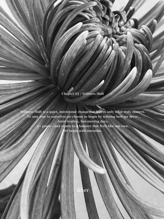 Chapter 01 / Stillness Shift