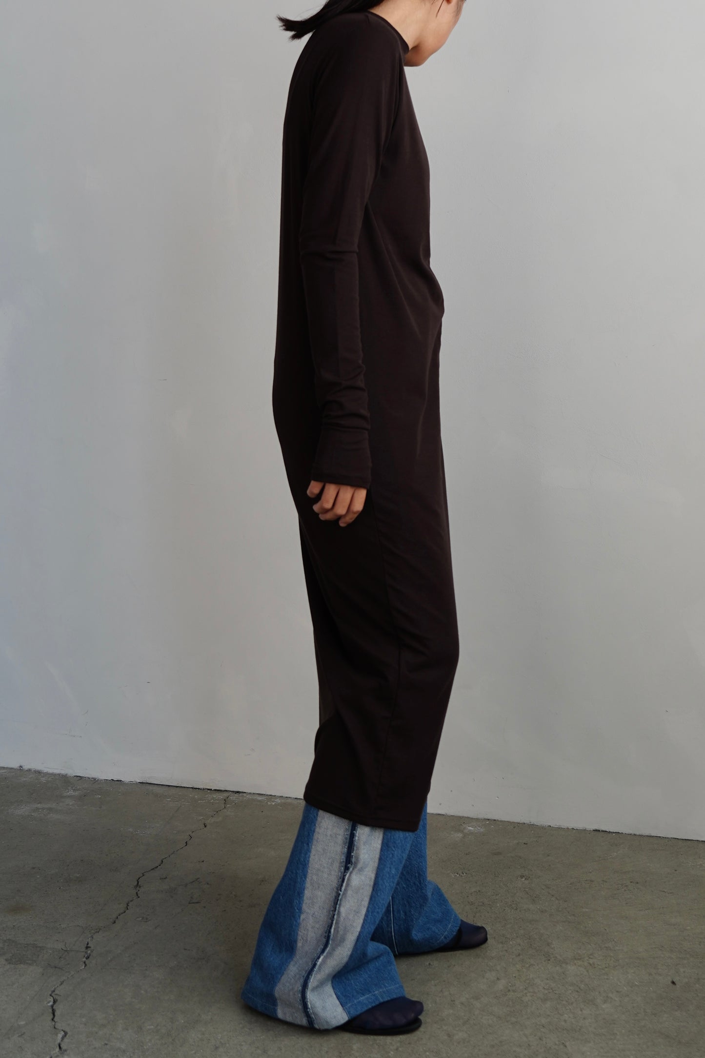 Smooth Sheer Onepiece / BROWN
