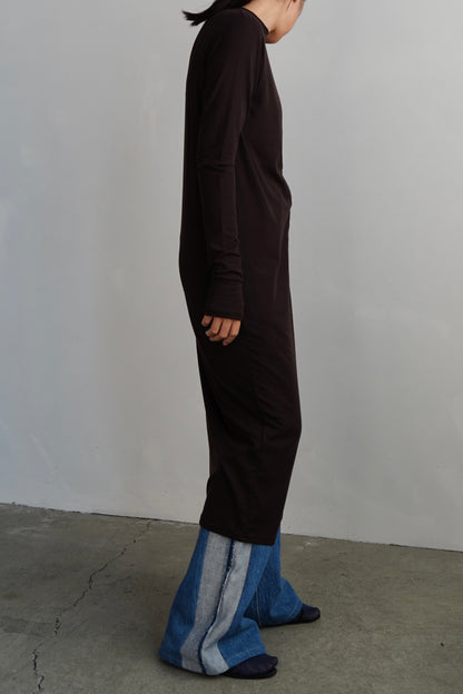 Smooth Sheer Onepiece / BROWN