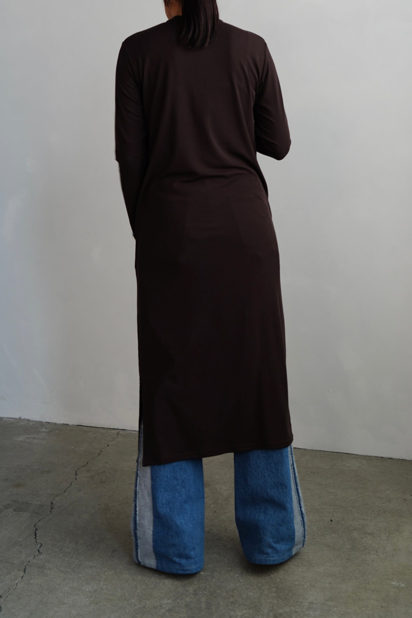 Smooth Sheer Onepiece / BROWN