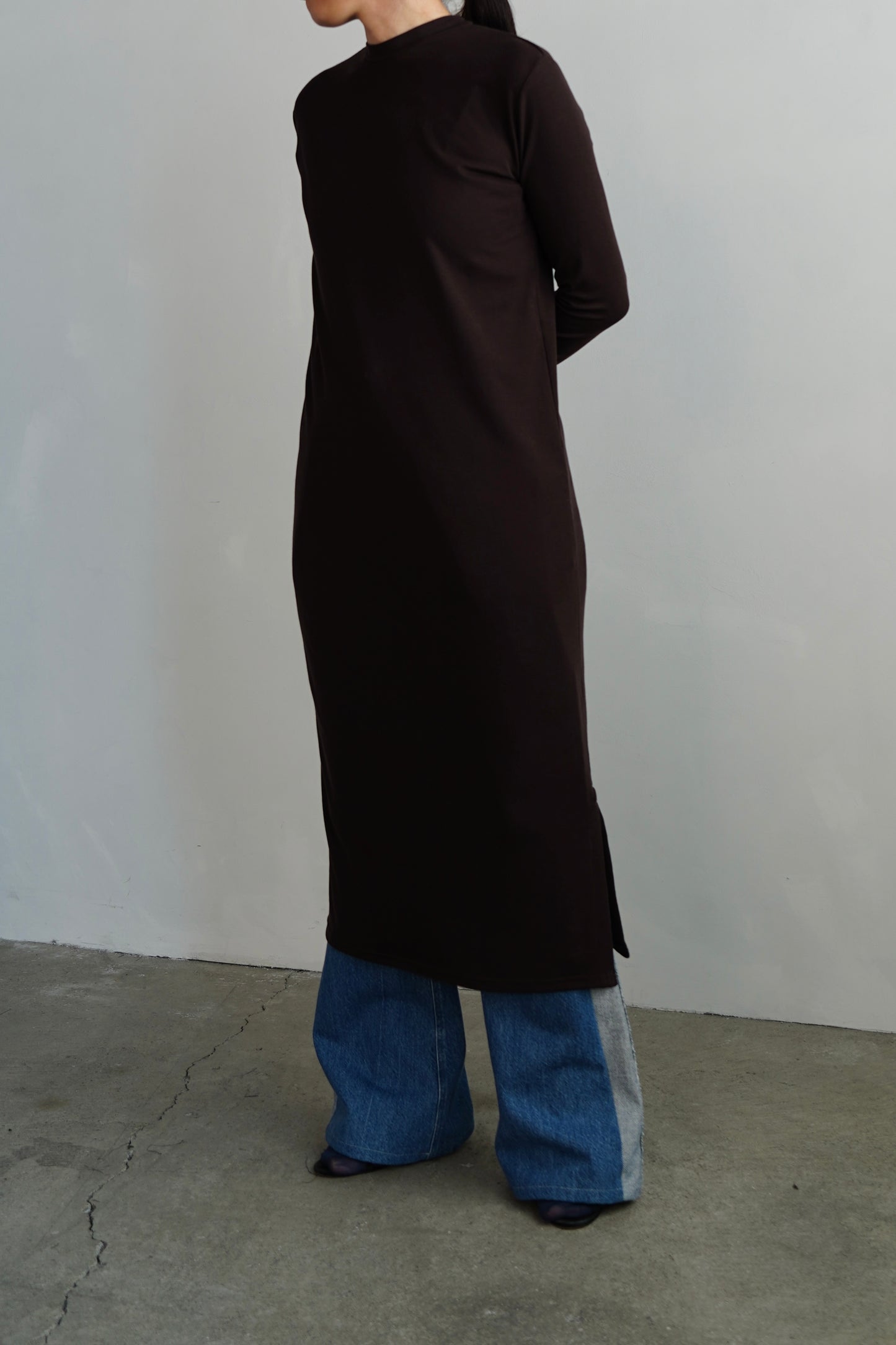Smooth Sheer Onepiece / BROWN