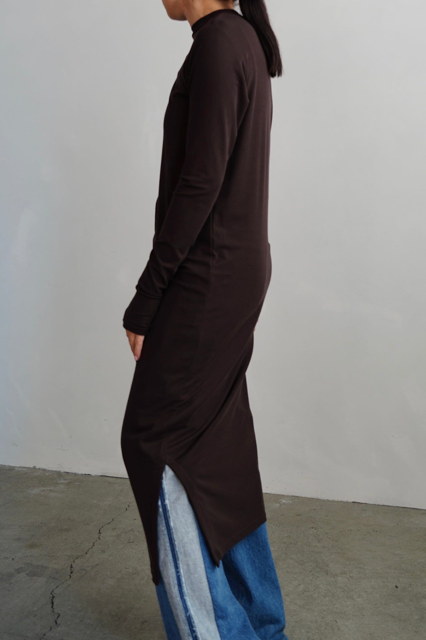 Smooth Sheer Onepiece / BROWN
