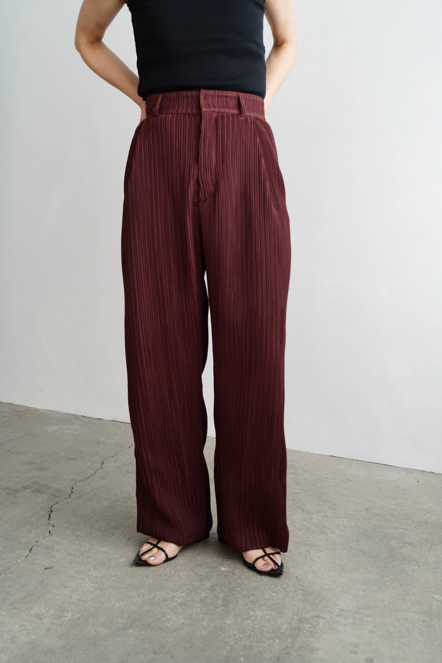 Pleats Pants / BROWN -4月5日発送-
