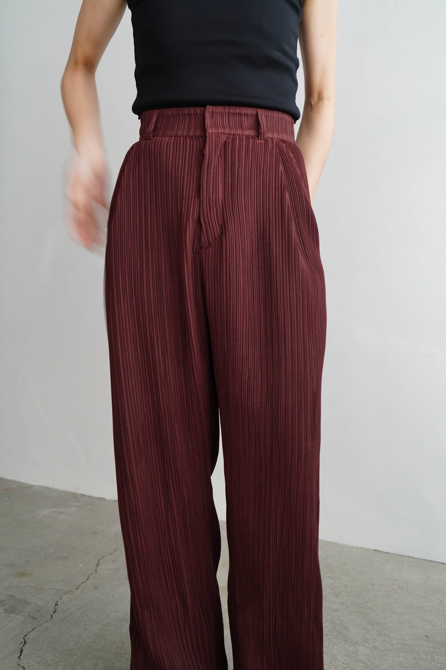 Pleats Pants / BROWN -4月5日発送-