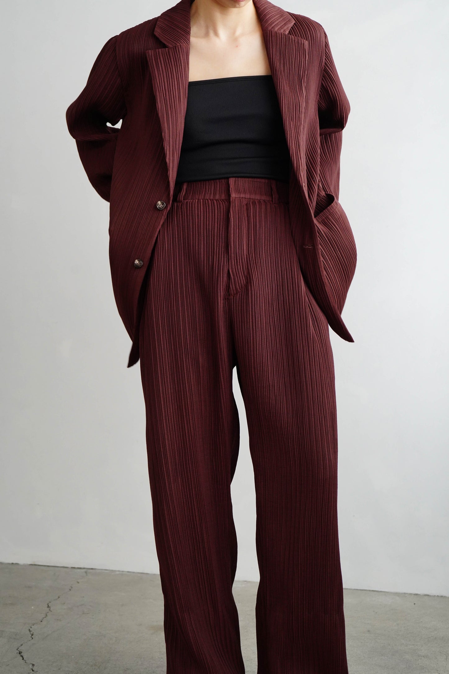 Pleats Pants / BROWN -4月5日発送-