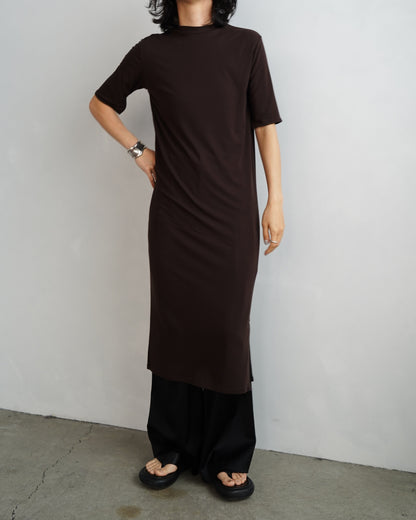 Smooth Sheer Onepiece / BROWN