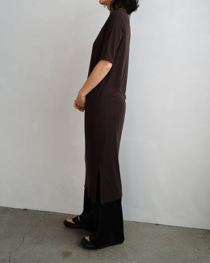 Smooth Sheer Onepiece / BROWN