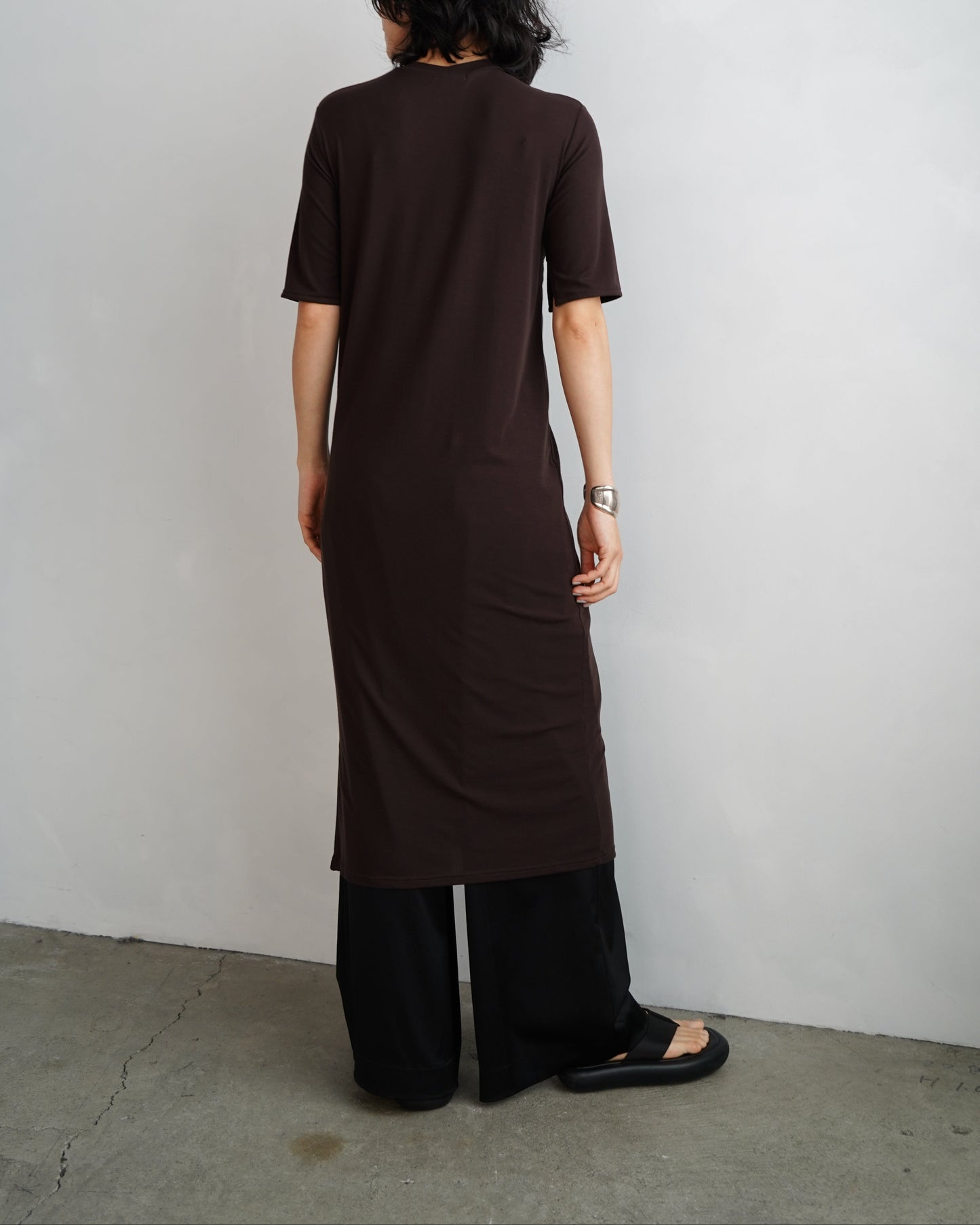Smooth Sheer Onepiece / BROWN
