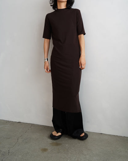 Smooth Sheer Onepiece / BROWN