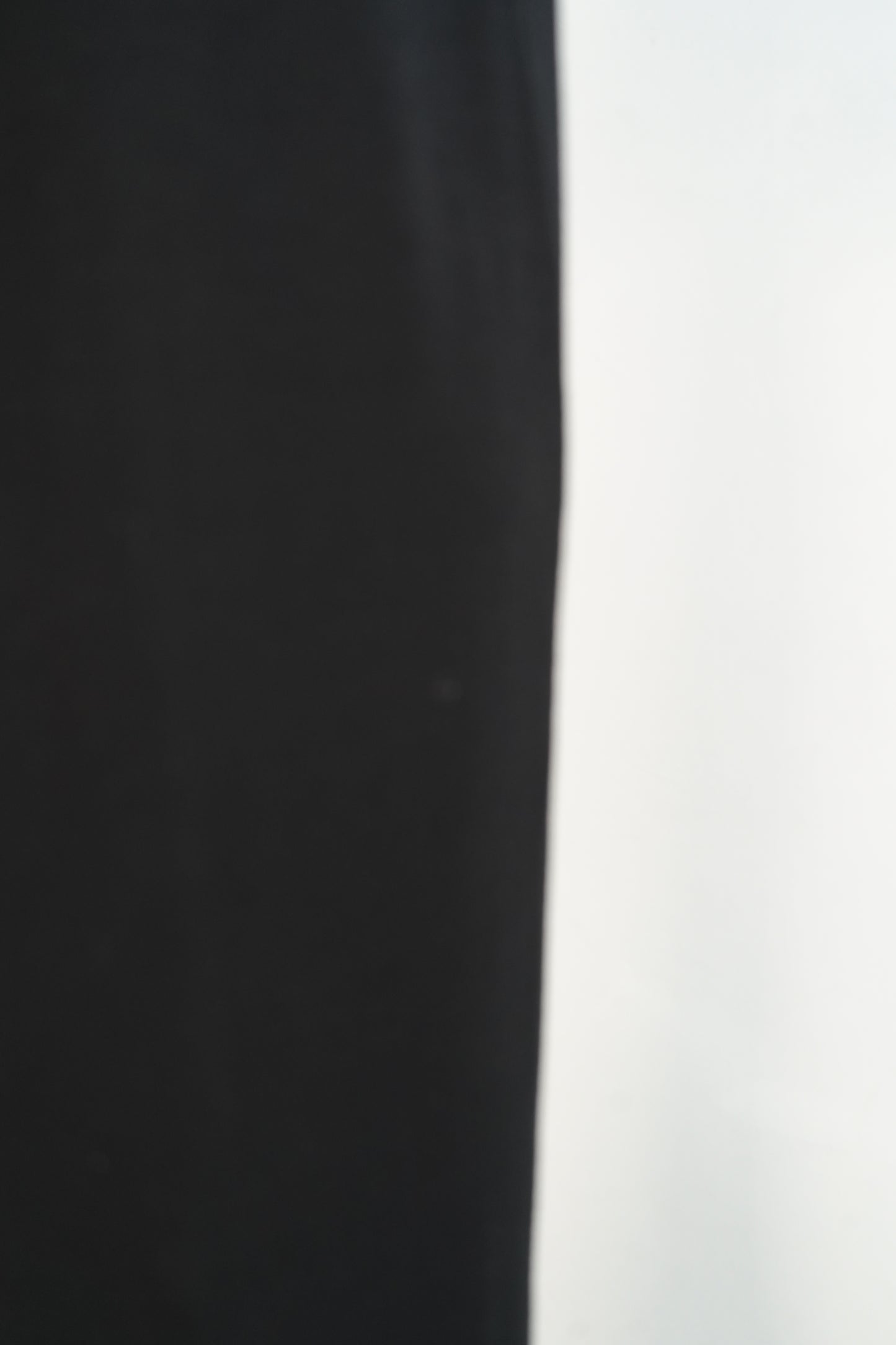 Smooth Sheer Onepiece / BLACK
