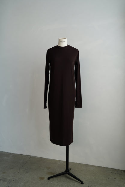 Smooth Sheer Onepiece / BROWN
