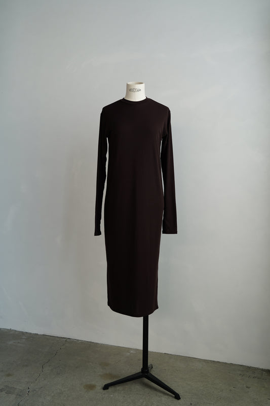 Smooth Sheer Onepiece / BROWN