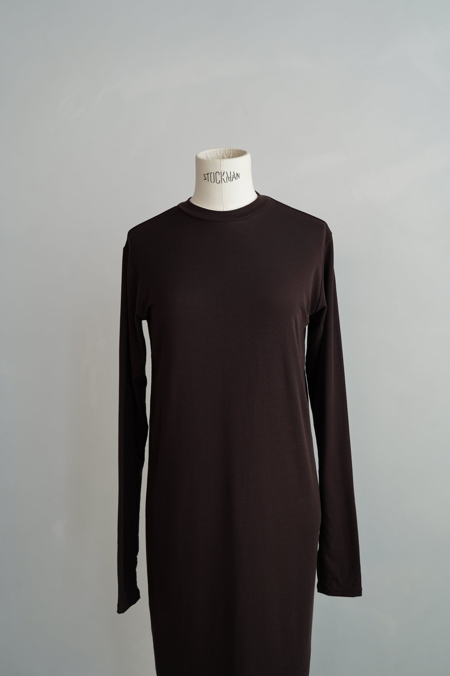 Smooth Sheer Onepiece / BROWN