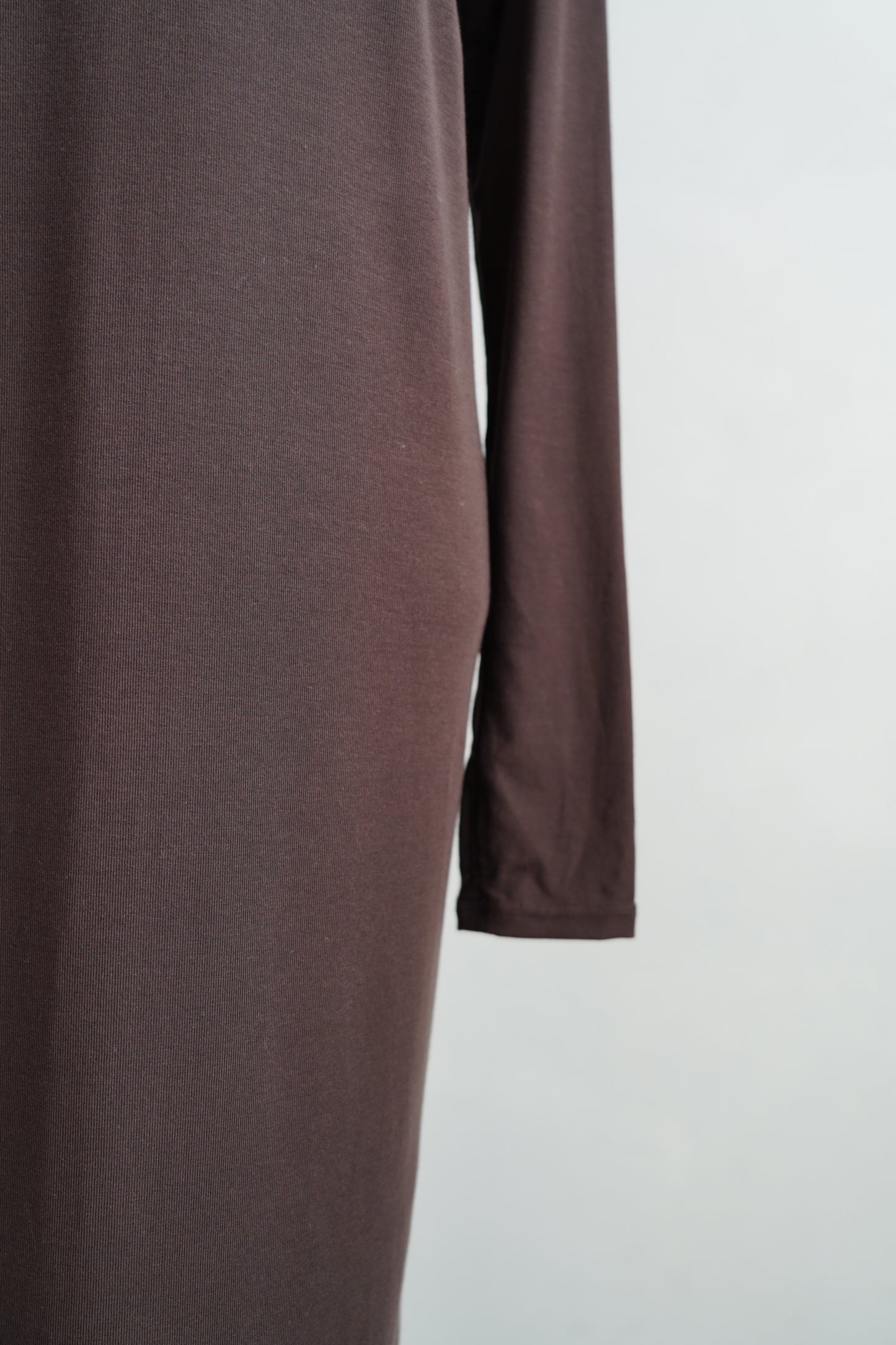 Smooth Sheer Onepiece / BROWN
